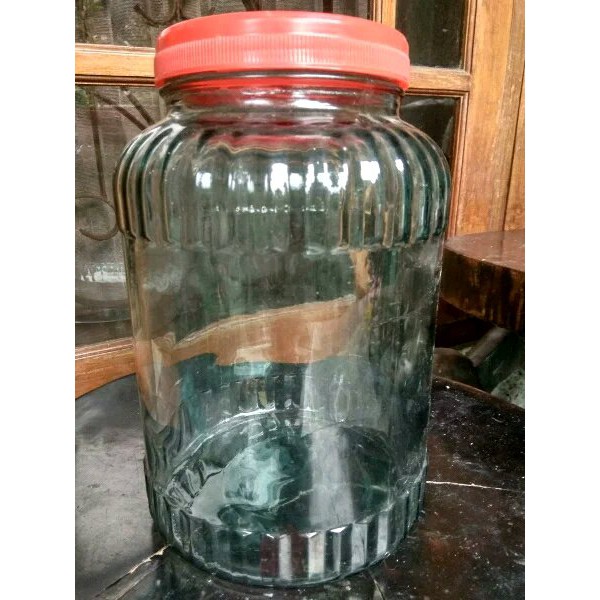 toples jadul