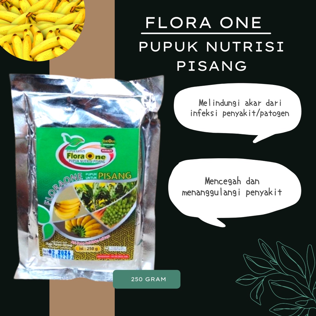 Pupuk booster Hayati Pupuk Pisang Cavendis, Pupuk Trichoderma Layu Fusarium Pisang Terbaik