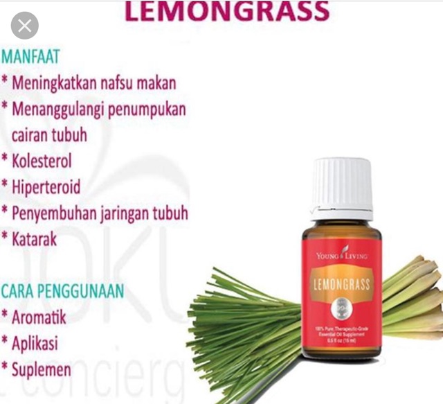 Lemongrass Young Living Shopee Indonesia