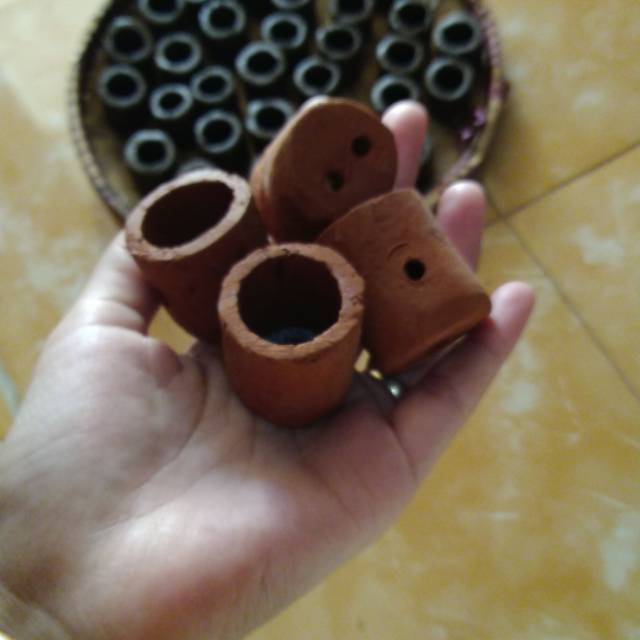 Pot tanaman air aquascape