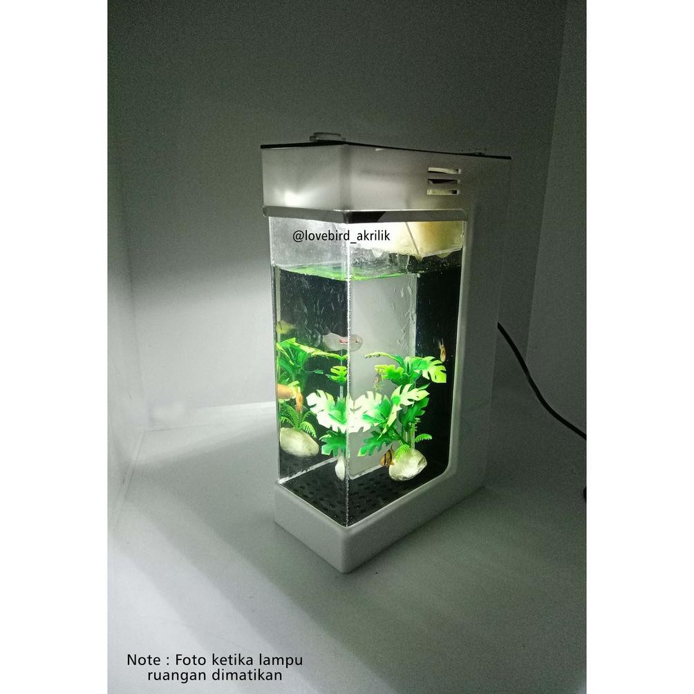 Ready Aquarium Akrilik, Aquarium Acrylic, Acrylic Aquarium, Aquarium Mini Akrilik, Aquarium Ikan