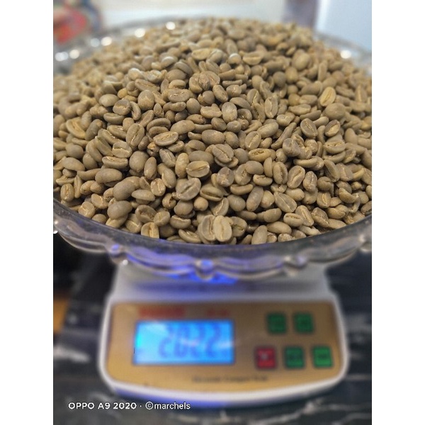 

kopi green bean spesialty