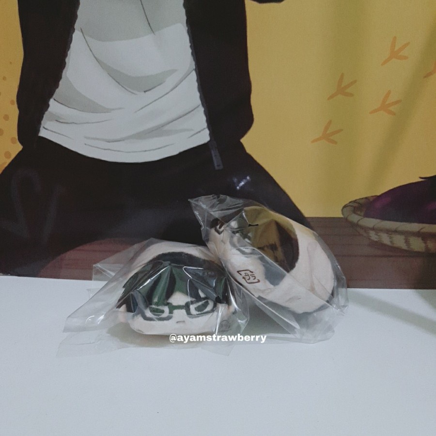 READY Haikyuu Noru Chara Mascot Akaashi Editor ver.