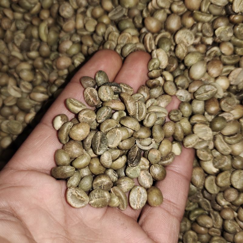 1 kg biji Kopi Robusta  mentah,madiun KARE GRADE 1( Green bean natural proses )  petik asli MERAH / gunung wilis