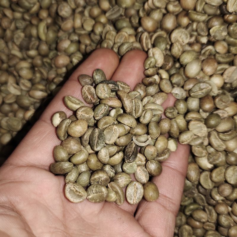 

1 kg biji Kopi Robusta mentah,madiun KARE GRADE 1( Green bean natural proses ) petik asli MERAH / gunung wilis