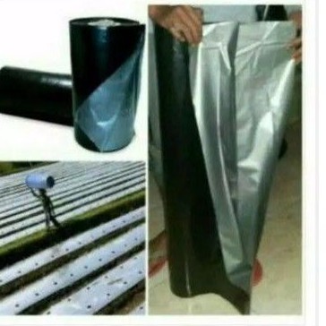plastik mulsa roll 5kg