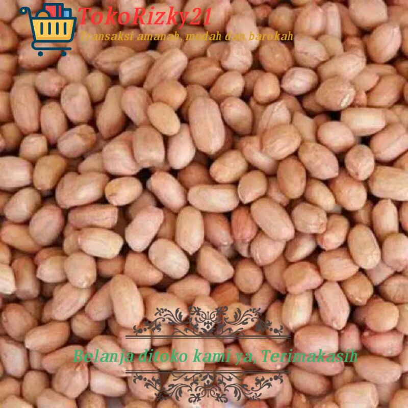 

kacang tanah 1kg
