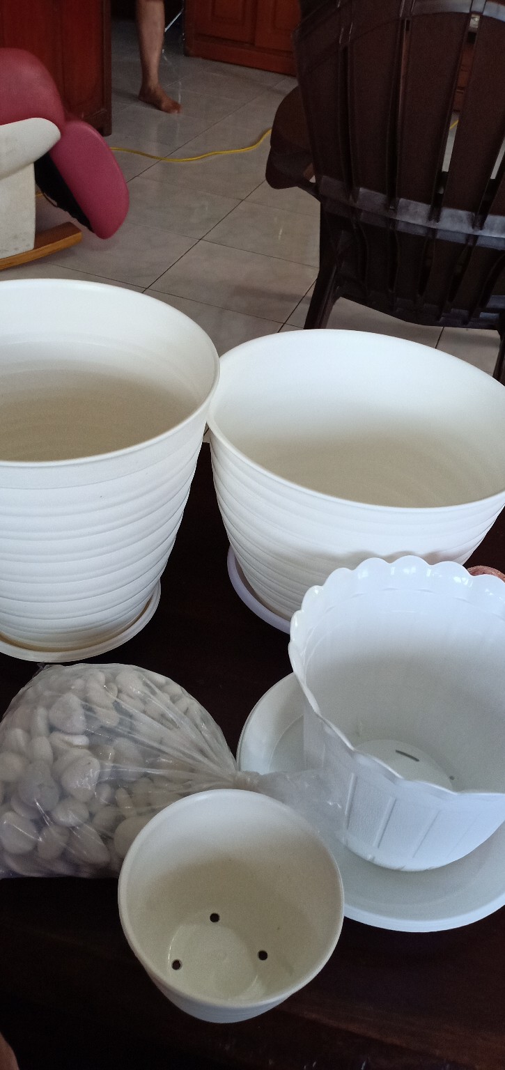 Tatakan 25 Putih Polos