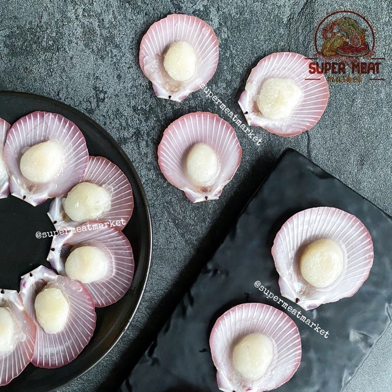 1kg Scallop Premium Half Shell