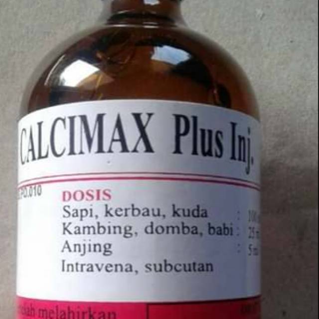CALCIMAX plus inj meyer obat ambruk sapi/domba/kambing