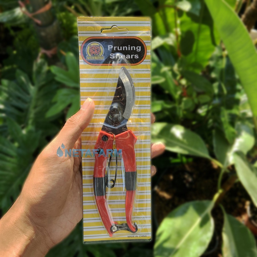 Gunting Tanaman Daun Ranting Kecil PRUNING SHEARS Alat Berkebun - 1pcs