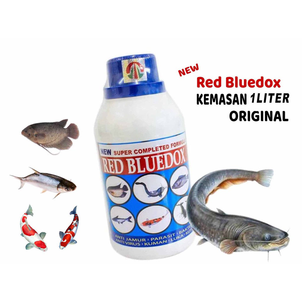 Red Bluedox 1 Ltr #basmi #Bakteri #ikan #redbluedox #murah #original #obatikan #bestseller #jamur