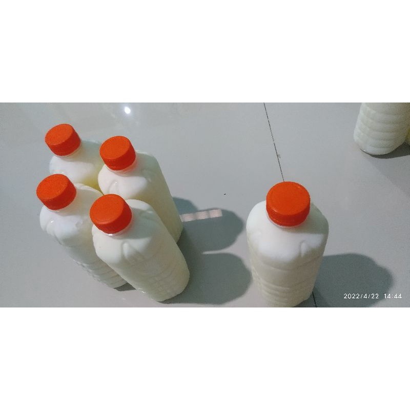 

susu kambing etawa