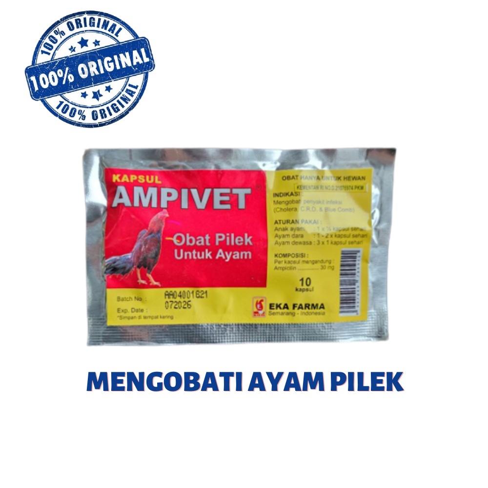 AMPIVET - obat ayam pilek