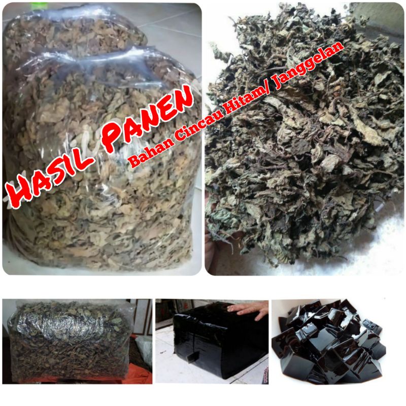 DAUN CINCAU HITAM/ KUSUS DAUN JANGGELAN KERING SUPER 3 KG
