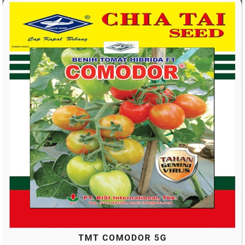 Tomat Comodor 5gr