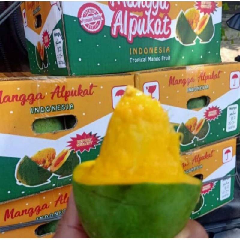 

Mangga Alpukat Klonal 21 Asli 1Kg