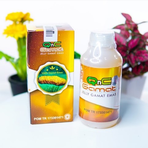 Obat untuk menjaga kesehatan tubuh menjaga imunitas tubuh Qnc Jelly Gamat Teripang Gold Original-8