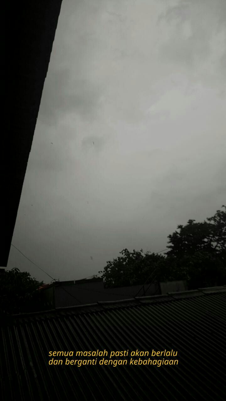 New!!! [standard Quality] Payung Korea Trasparan Motif Cantik Dan Lucu