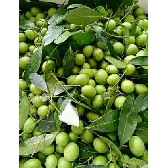 

(PROMO HB842) BUAH GANDARIA BUAH JATAKE JENTAK MUDA 250 GRAM ❋