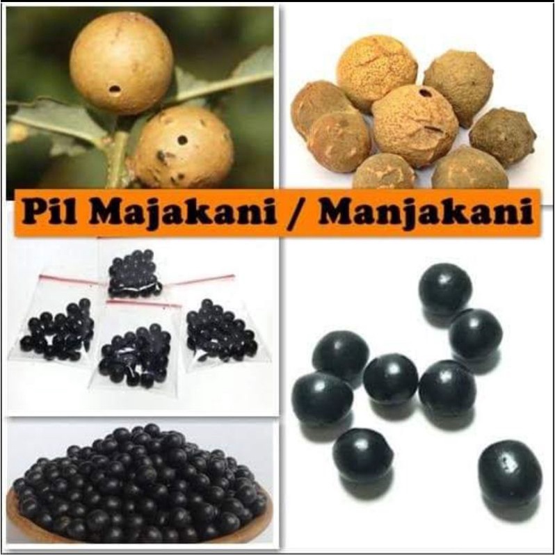 Pil Manjakani