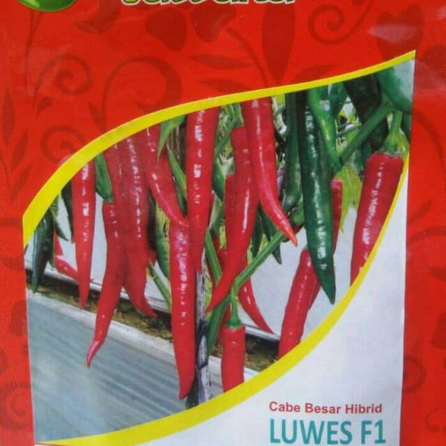 Benih Cabe Besar Hibrid LUWES F1 10 Gram