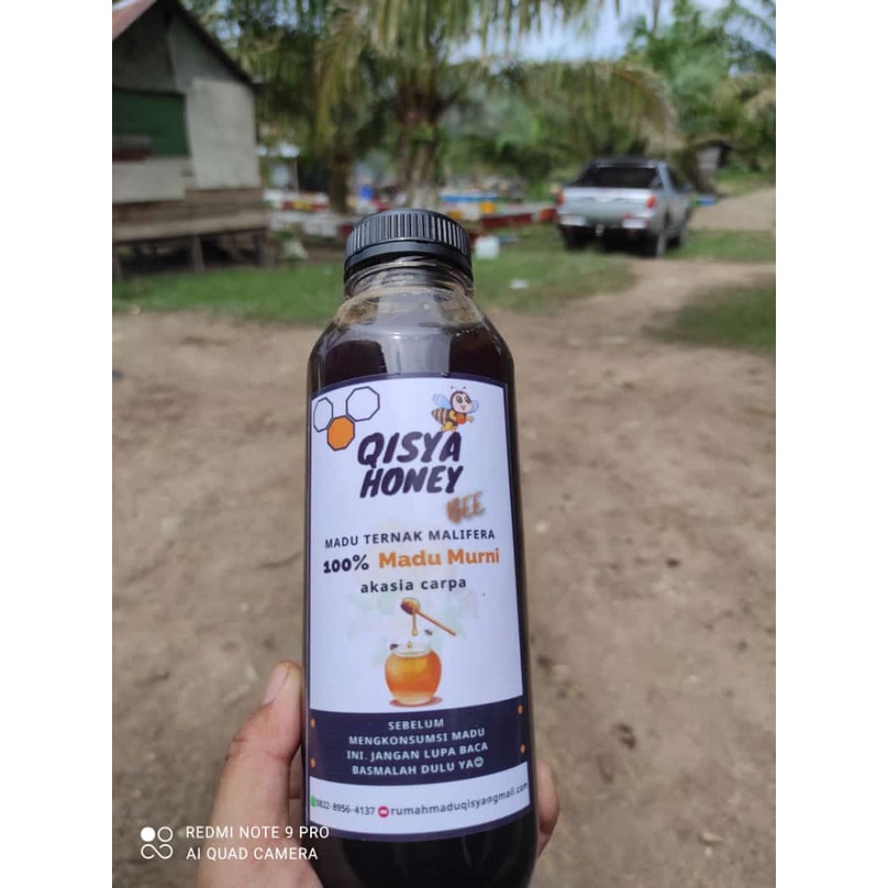 

MADU ASLI/MADU MURNI AKASIA CARPA
