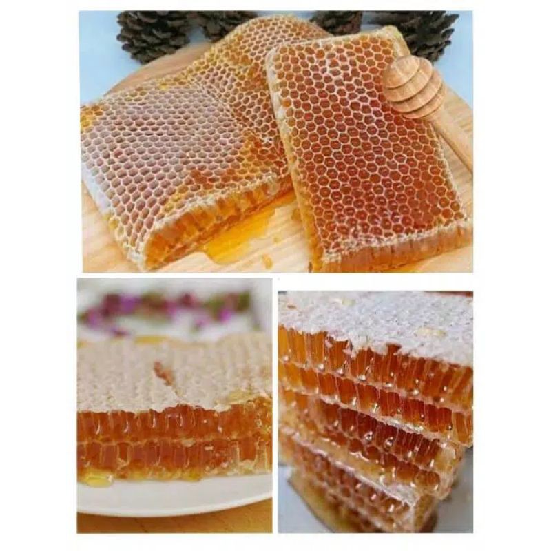 

Sarang Madu Asli Murni Lebah Tawon mellifera Original Hutan Langsung Dari Sarangnnya 250 g