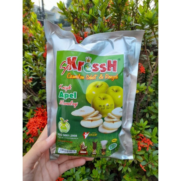 

KERIPIK BUAH