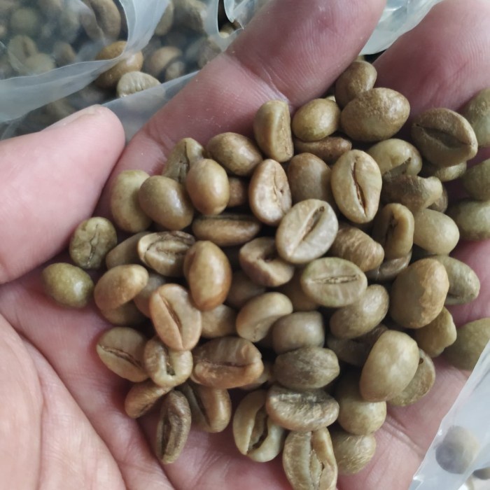 

kopi-biji- green bean kopi robusta dampit malang 1 kg -biji-kopi.