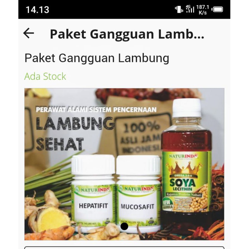 Obat Lambung Naturindo
