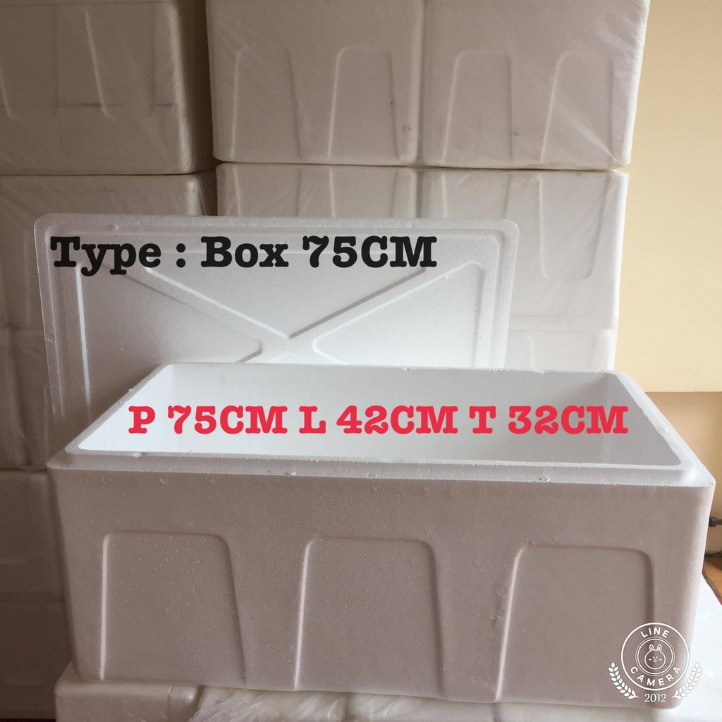 75cm Styrofoam box BESAR Kotak Gabus Box Frozen Food STEREOFOOM BOX Ikan