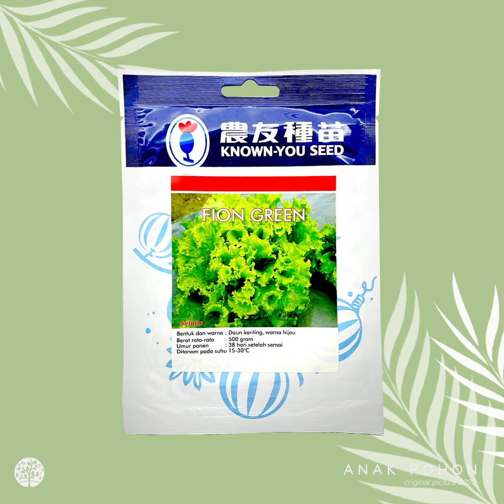 (1 PACK) Benih Selada FION GREEN Keriting Hijau Lettuce Seeds - Known You Seed KYS - 10 GRAM