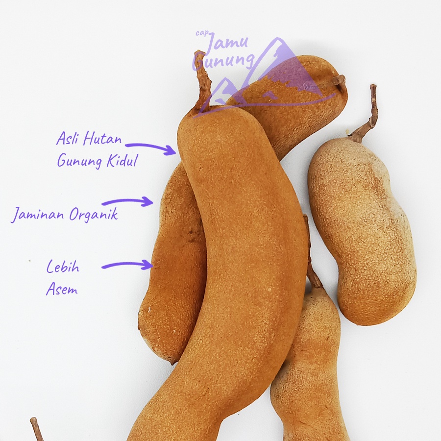 

Matang Pohon! 250grAsam Jawa Kulit / Asem Jawa Kulit - Asli Gunung