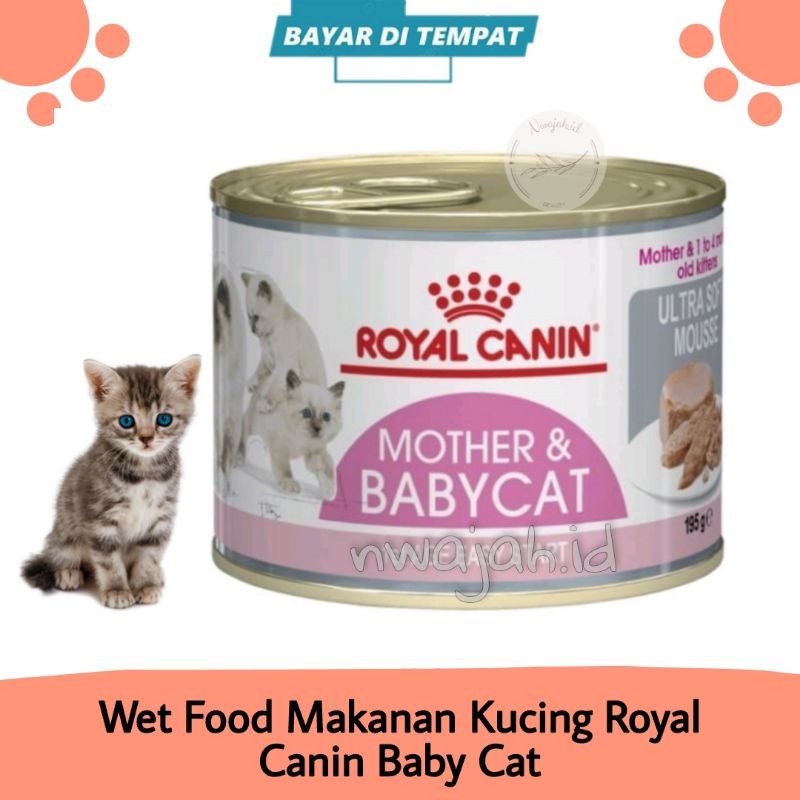 Wet Food Makanan Kucing Royal Canin Baby Cat