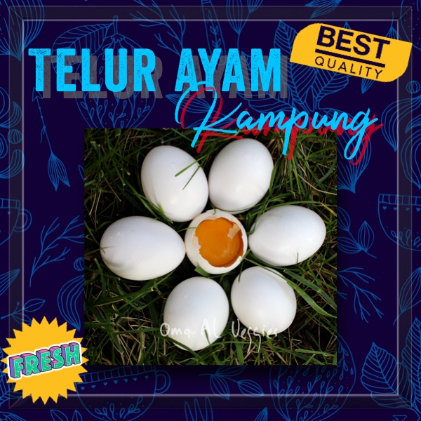 

TELUR AYAM KAMPUNG ISI 3 PCS PER PACK