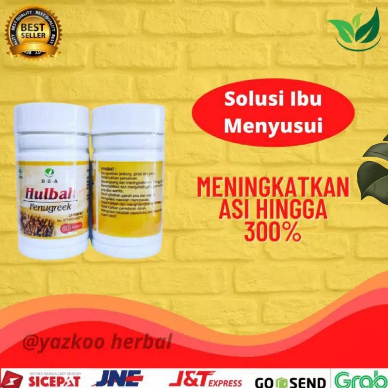 

FENUGREEK OBAT HERBAL ALAMI meningkatkan ASI Melancarkan persalinan Menguatkan jantung ginjal paru