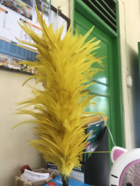 Kemoceng Bulu Ayam Warna Warni Murah - Kemoceng Sulak Murah Kerajinan Tangan Rumah Tangga