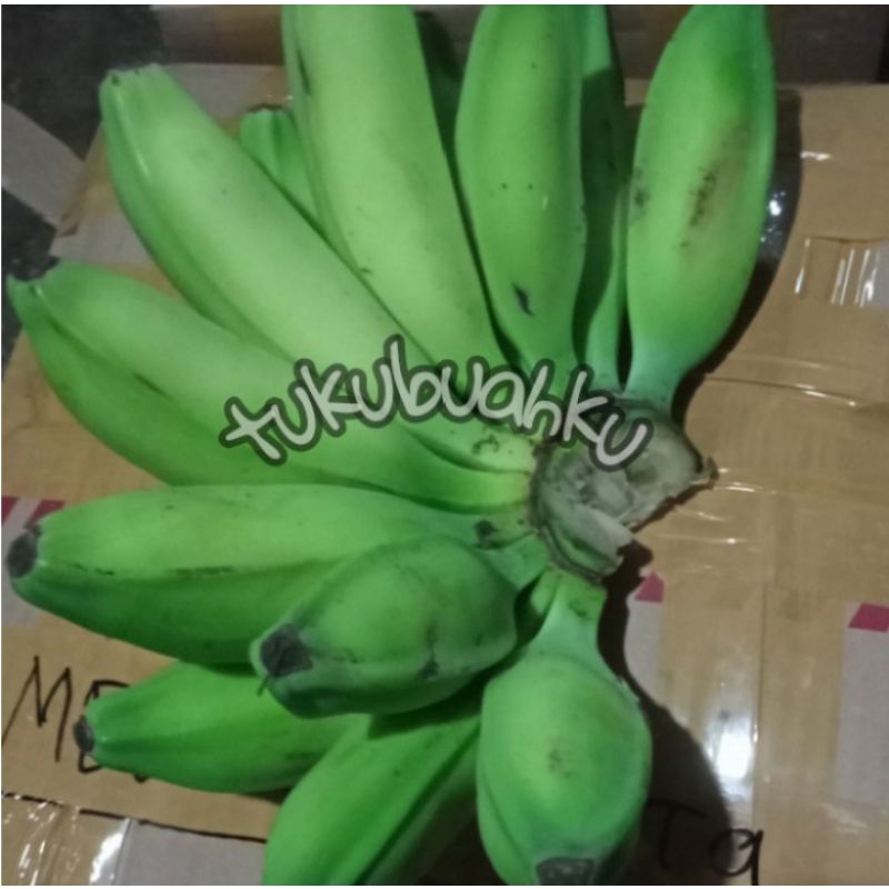 

BUAH PISANG BATU / PISANG KLUTUK 1 SISIR