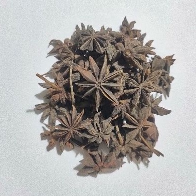 

Bunga lawang star anise kembang pekak bajiao rempah ba jiao bumbu rempah