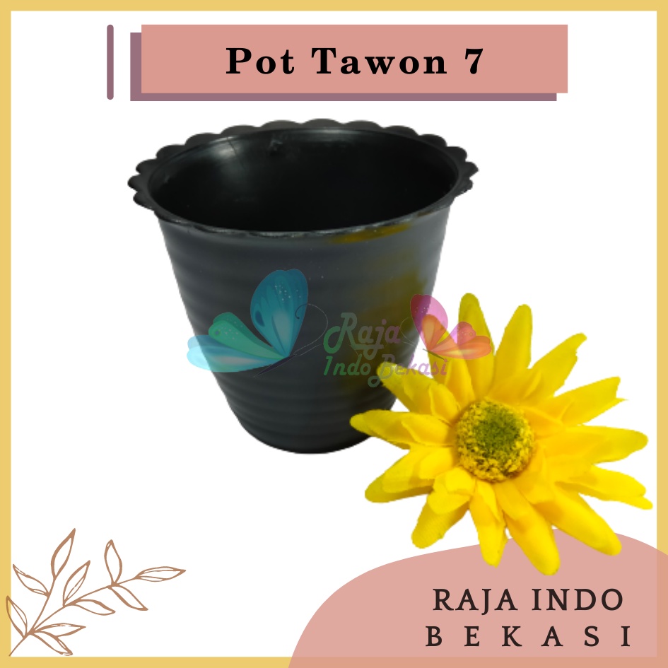 Pot Tawon 7 Hitam 7.5 Cm By Garden Of Love Pot Bunga Plastik Mini Lucu Vas Bunga Kaktus Kecil