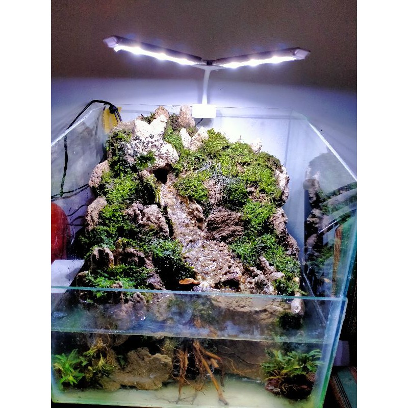 jasa pembuatan paludarium 40 x 30