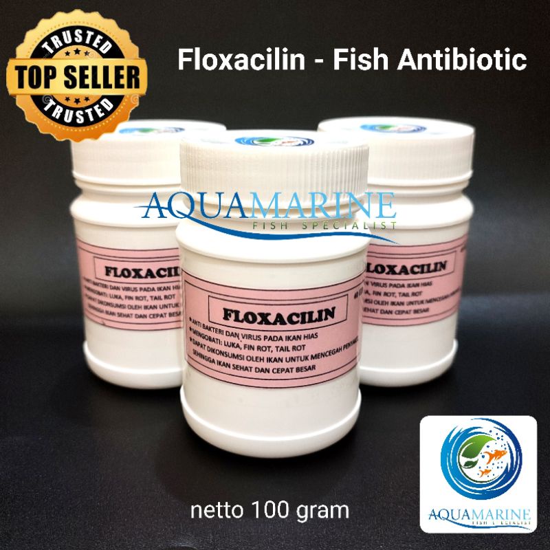 Jual Floxacilin Antibiotik Ikan Obat Ikan Anti Bakteri Aeromonas Dropsy