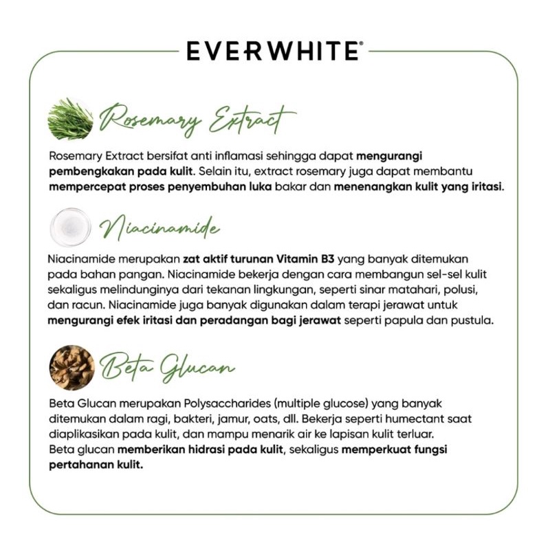 Everwhite Mugwort Pore Clay Mask