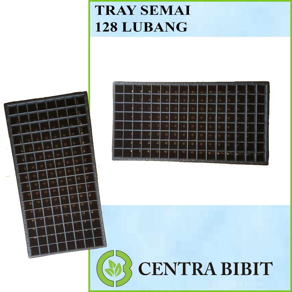 Tray Semai 128 Lubang