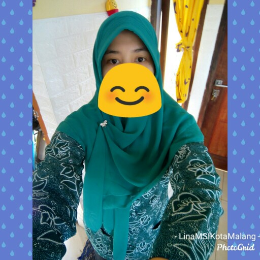 Seragam Pkk-setelan Polos-setelan Batik-gamis Blazer