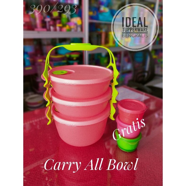 TUPPERWARE - CARRY ALL BOWL