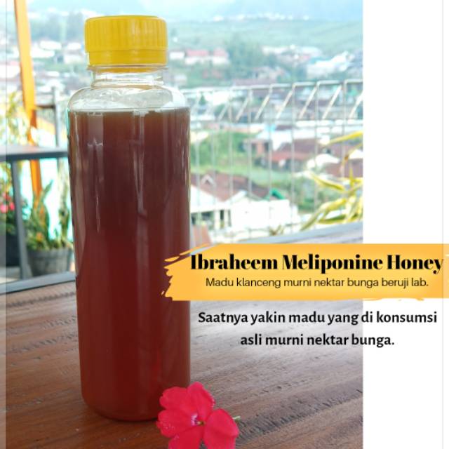

Madu Klanceng /Trigona