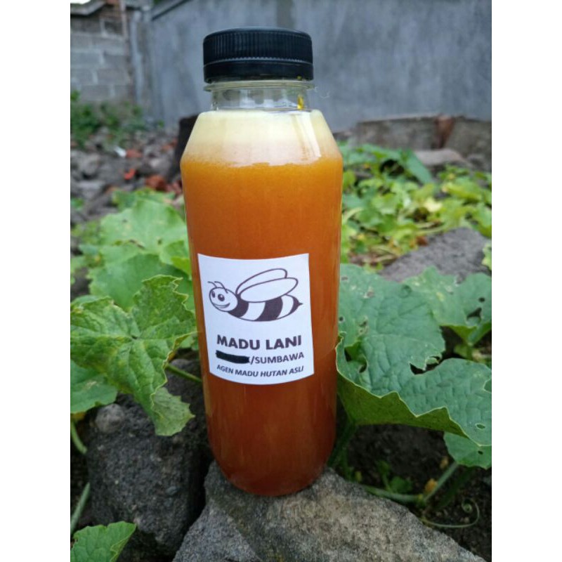 

Madu Hutan Sumbawa Asli 500ml