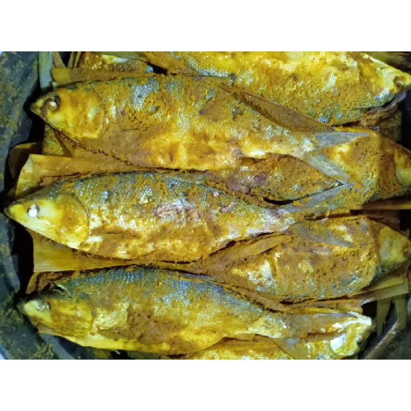 

ikan bandeng paretoo per ekor